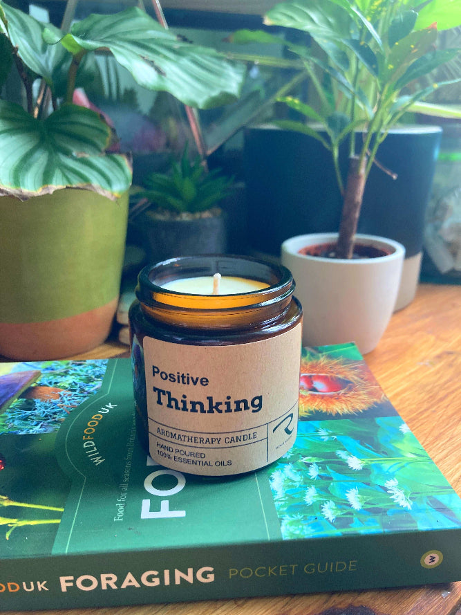 Candle labeled 'Positive Thinking' on a book with plants in the background